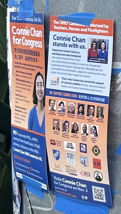 Connie Chan for Congress flier