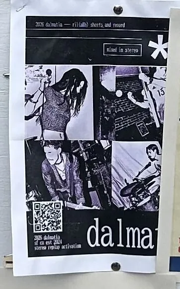 dalmatia flier
